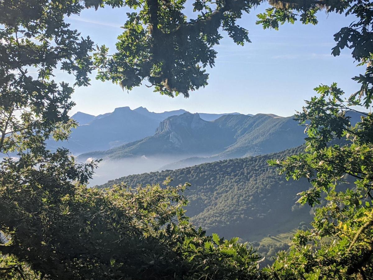Apartamento Olmares Picos De Europa - 4 Personas Lomeña Eksteriør billede